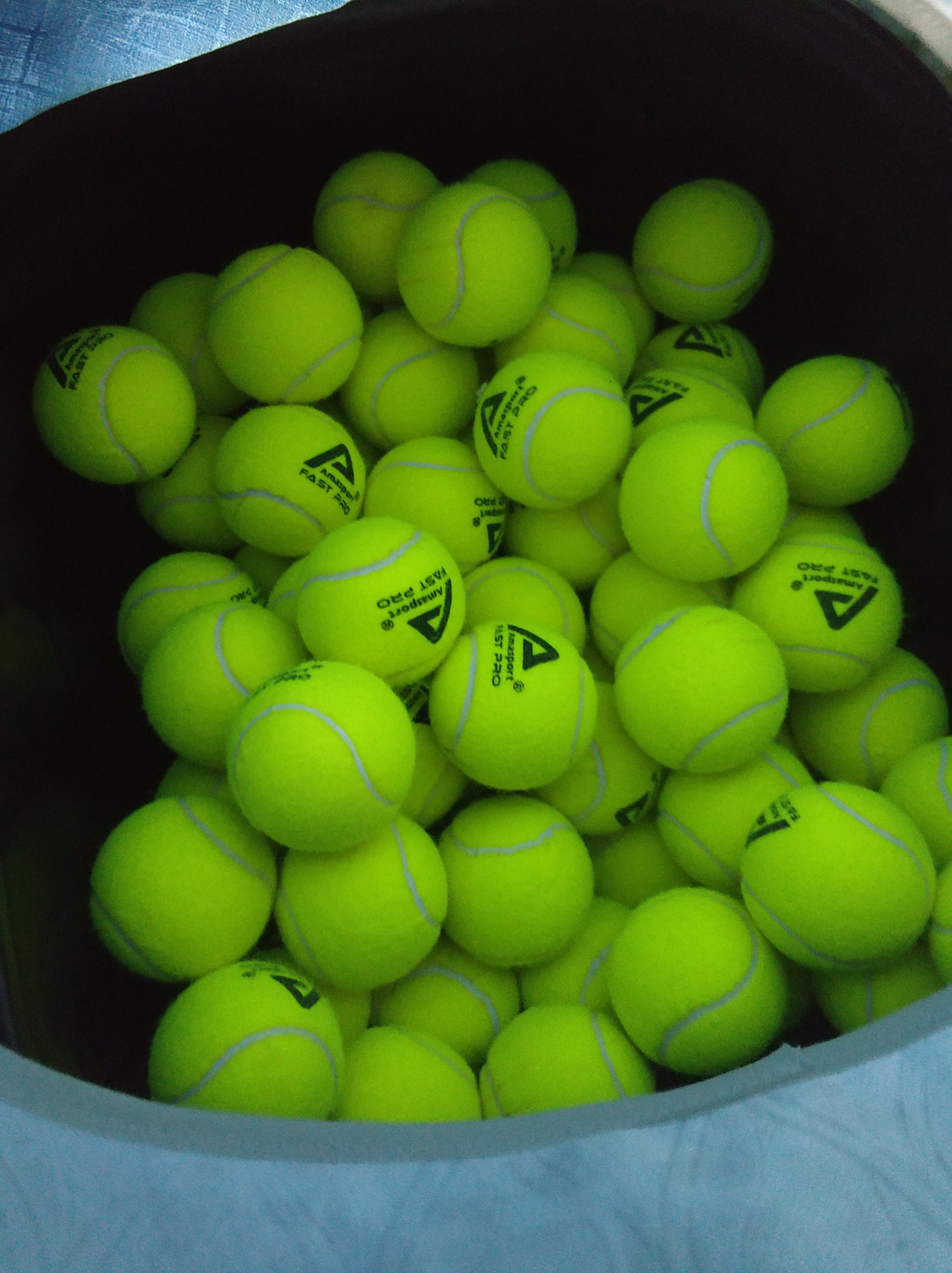 无疑是他们 无疑是他们