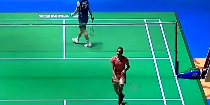 职业生涯的 职业生涯的